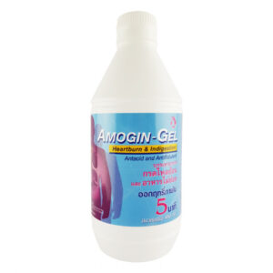 AMOGIN-GEL ORAL SUSPENSION 450 ML